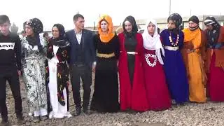 KOMA  BERİvAN  SİVEREK    Karacadağ aşiret düğünü