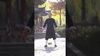 动作简单每天早中晚九次，九天后看效果，快试起来吧#太极养生动起来 #居家锻炼 #活动一下筋骨 #改善亚健康 #生命在于运动健康在于行动