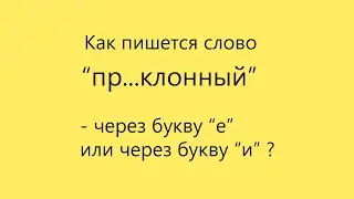 Подготовка к экзаменам без лишних слов. Как пишется слово 