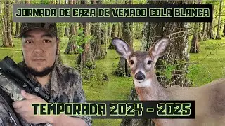 WHITE TAILED DEER HUNTING DAY ,/,,/