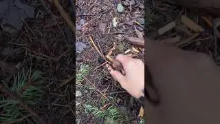 A Simple Therapeutic Art Activity for Grounding 🌬️🌲🌀 
