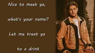 Niall Horan - Nice To Meet Ya (Lyrics)