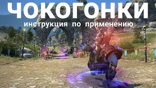 Final Fantasy XIV – гайд по гонкам чокобо (Chocobo Racing)