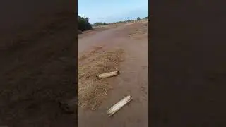 Nova Belajar Bawa Motor Beat