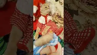 Хорошего Дня !                                Любите, пока любится ,.Мечтайте ,пока мечтается.