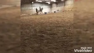 1 Year Riding Transformation (Edit) || Eva Equestrian