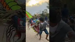 Dare to fly a dragon kite