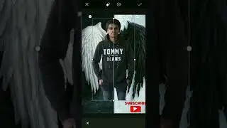 Wings Photo Editing Tutorial In Picsart || 30 Second #shorts