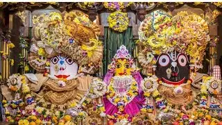 Goura mandal parikrama 2023 , Nawip parikrama , #mayapur , mayapur goura dham, Jagannath darshan.