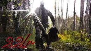 22lr / ПЕРЕД ОХОТОЙ ГЛАВНОЕ...