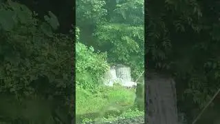 💚🌿
