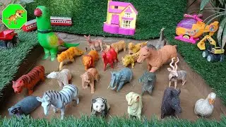"Animal Adventure: Rescuing and Discovering Wildlife in Mud! | Dino World TV"?