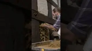 Restaurierung von altem Fachwerk 🛠