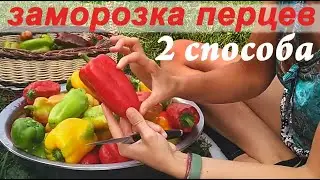 Перцы-апельсинки и воловье ухо: заморозка 2 способами на зиму