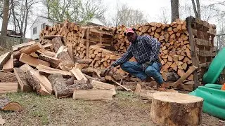 Stacking All This Firewood