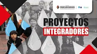 Proyectos integradores primaria