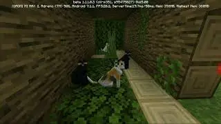 Коты-воители +Minecraft(лагерь моего придуманного племени котов-воителей)