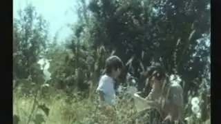 Yurakka yaqin qo'shiqlar: Tulpor (Doston Ubaydulllaev)