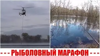 Ловля на спиннинг поздней осенью. От жабовника до реки...
