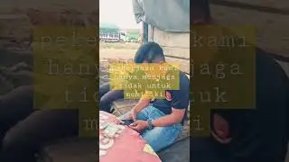 pekerjaan kami hanya menjaga tidak memiliki #shorts #shortvideo #shots #scurity