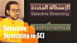 Selective Stretching in SCI