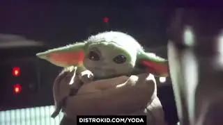 Baby Yoda Likes Bangers Only
