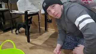 Вот это подарок