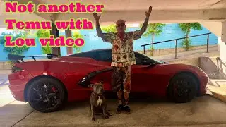 Not another Temu with Lou video