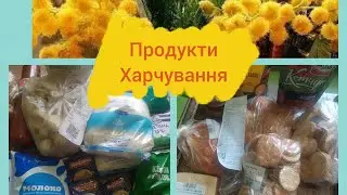Продуктова Корзина//Продукти Харчування