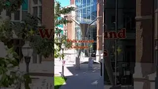 Walking on campus on a sunny day, name a better combination ☀️🕶️