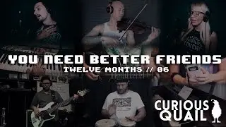 Curious Quail - You Need Better Friends