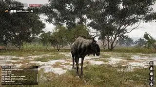 | ANIMALIA SURVIVAL | Антилопа гну . Гоняем стаю львов . Первый опыт боя.[RU]TAPKIN SURVIVAL (+Slots