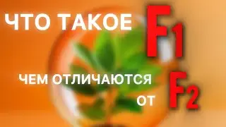 ГИБРИДЫ САЖАТЬ НЕЛЬЗЯ??? Или что означает F1 или F2 на пачках с семенами.