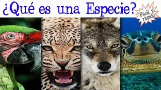 🐝What is a species?🐠 [Easy and Fast] | BIOLOGY |