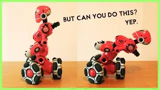 But Can You Do This? … Robot Accepts Challenge!