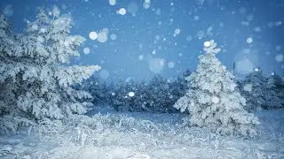 Предновогодний Открытый Эфир от 24 12 2023