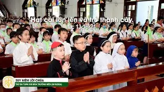 Suy Niệm Lời Chúa, Thứ Ba Tuần XXX Thường Niên (29/10/2024)
