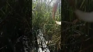 Бой 2