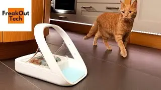 5 Incredible Inventions For Your Cat #2 ✔