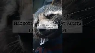 Насколько силён Енот Ракета? #marvel #raccoon