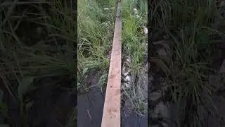 Проход на озеро Юшино, микрорайон ВНИИПО, Балашиха