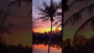 Невероятно красивый закат 🌅