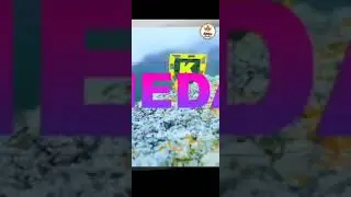 khatron ke Khiladi S11 Aastha gill song