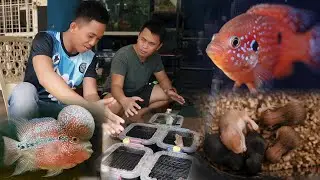 FV VLOG #114:  Best Pet Shop in Lumbia, CDO