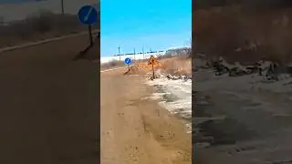 Это их работа😎 #shorts#дорога