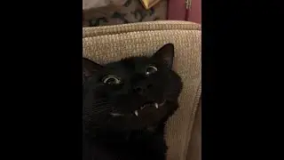 Фейерверки дота 2