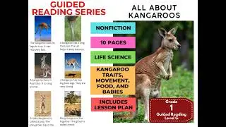 Grade 1 Guided Reading Level G Kangaroos with Lesson Plan