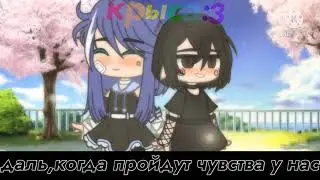 на мап privil