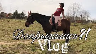 Vlog! Совмещаю лошадей, конюшню и декрет.