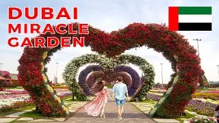 The Beautiful Dubai Miracle Garden - Walking Tour 2024